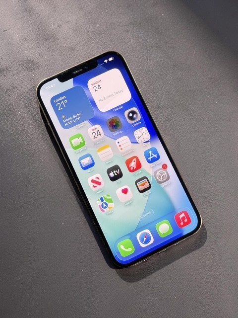 Apple iPhone 12 Pro Max iPhone 12 Pro Max Unverified Battery 256GB
