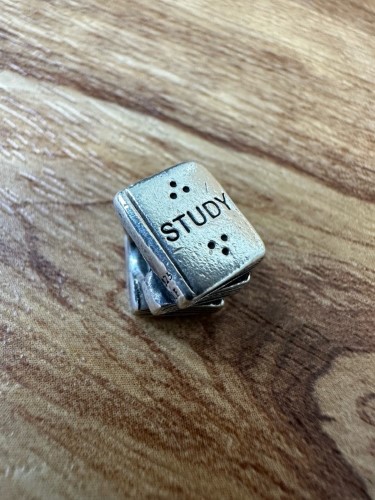 Pandora best sale book charm