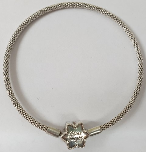 Disney x Pandora Shine Bright With Disney Princess  Pandora