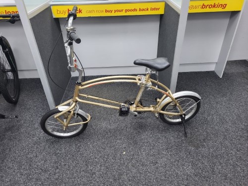 Bigfish shop folding bike