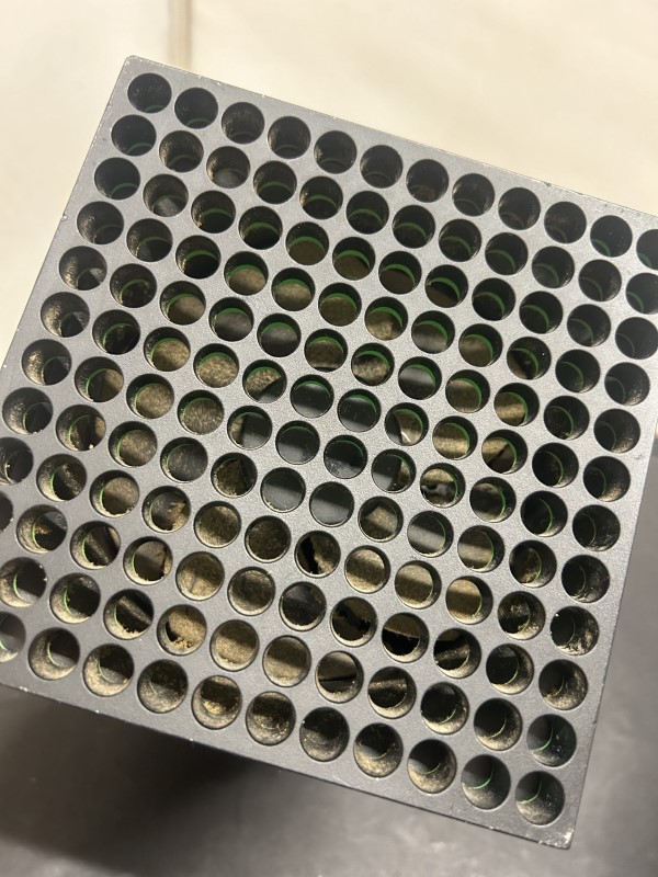 Cash Converters Home