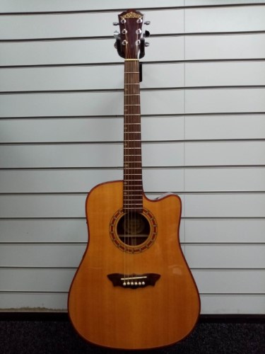 Washburn d42sce store