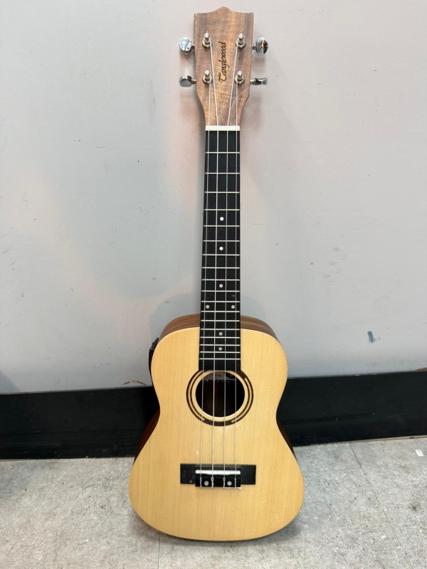 Tanglewood Twt 9 E | 029300125530 | Cash Converters