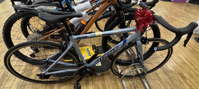 Giant Unisex Blue for Second Hand